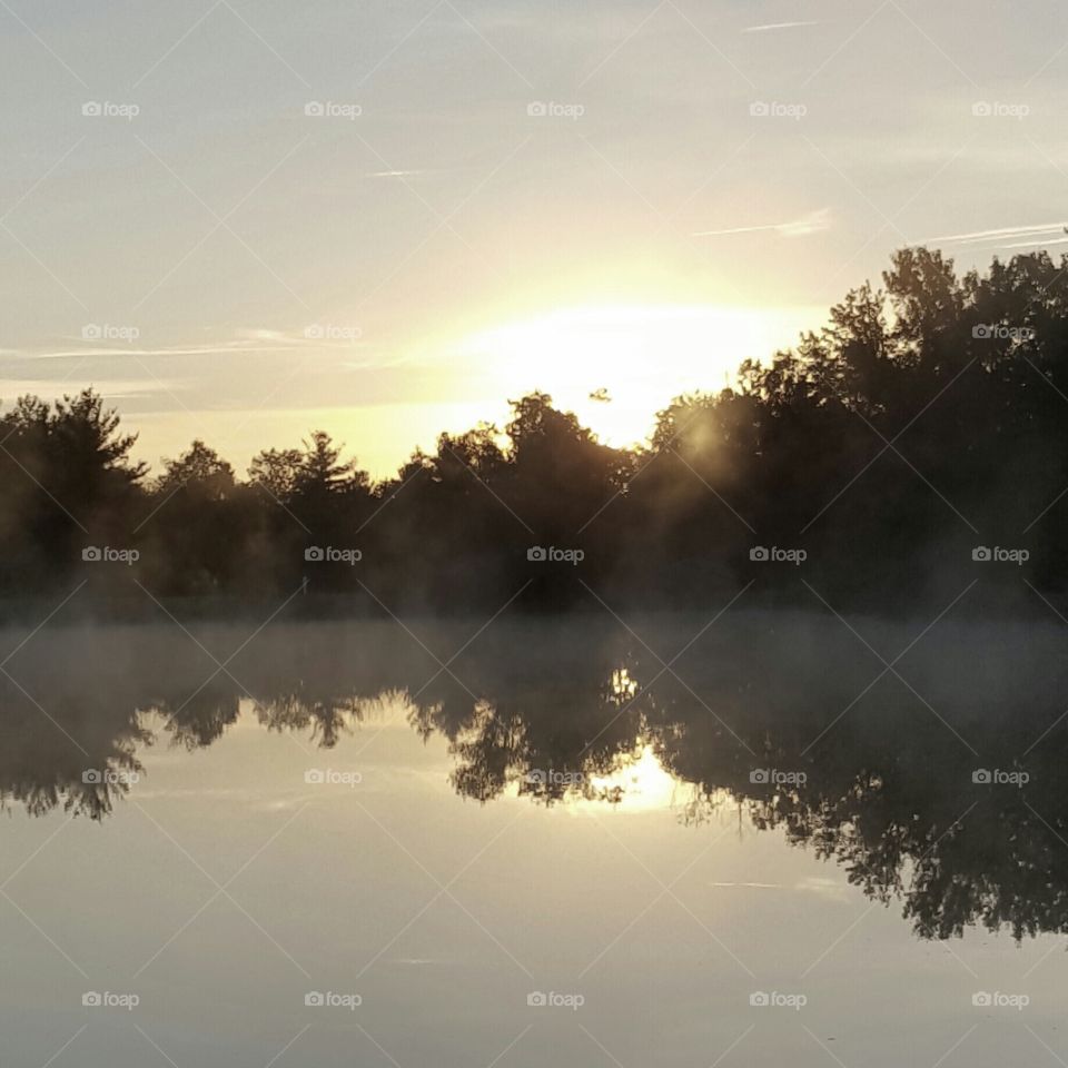 reflection and fog on pond