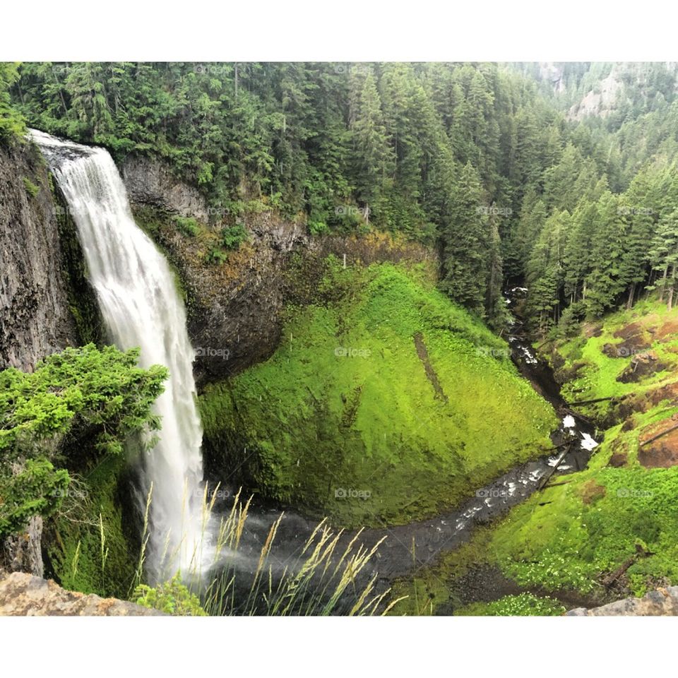Salt Creek Falls, Oregon
