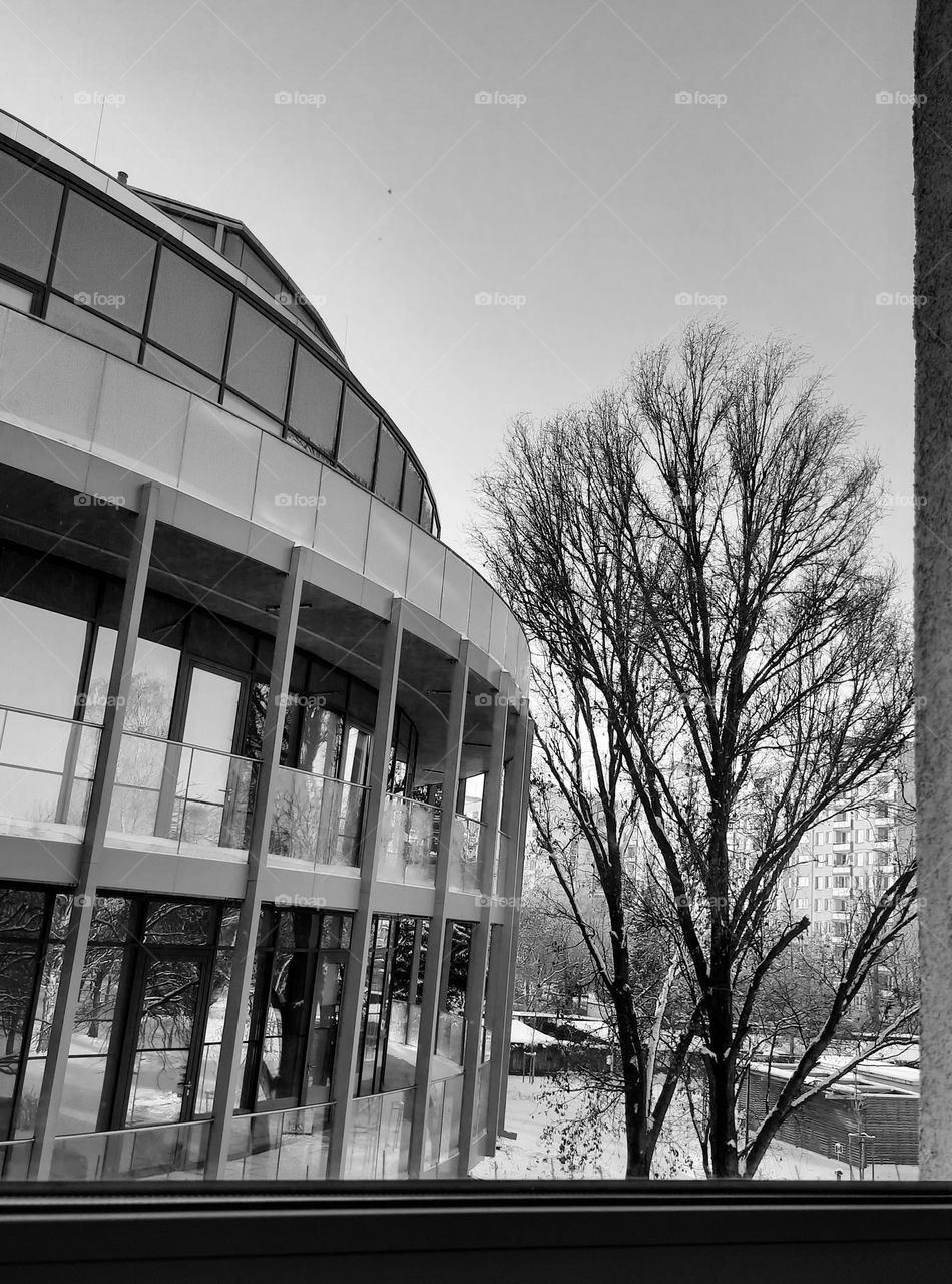 window vue of rounded building