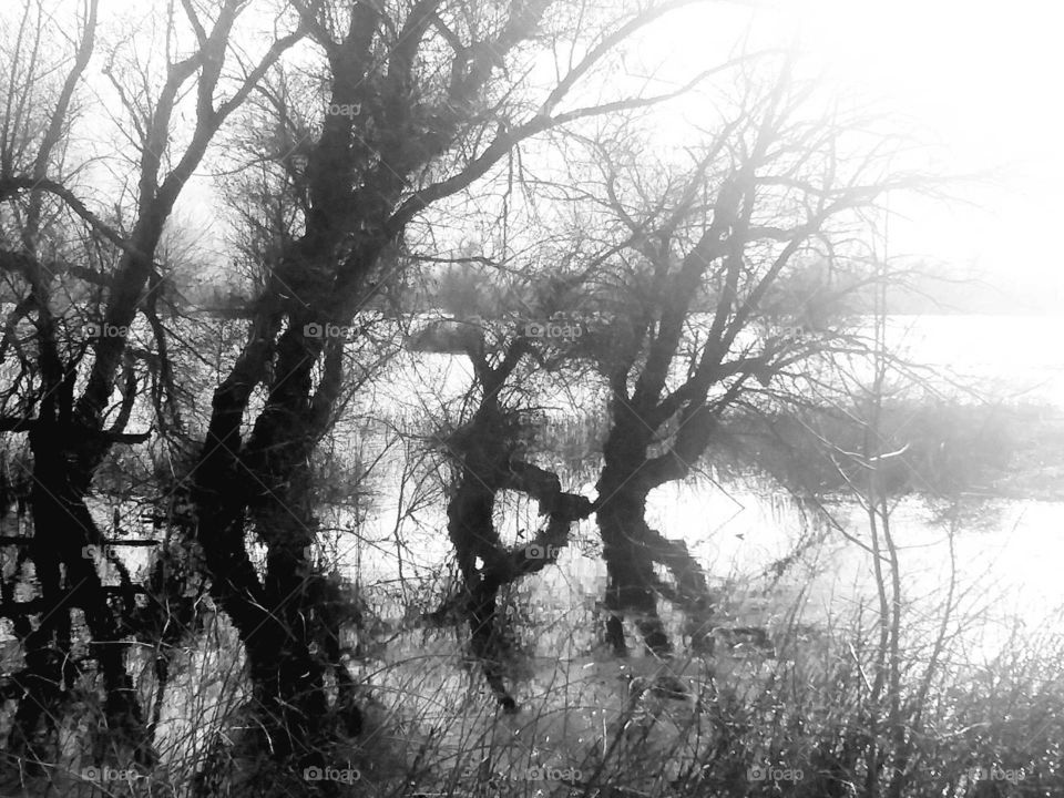 Black & white fine art