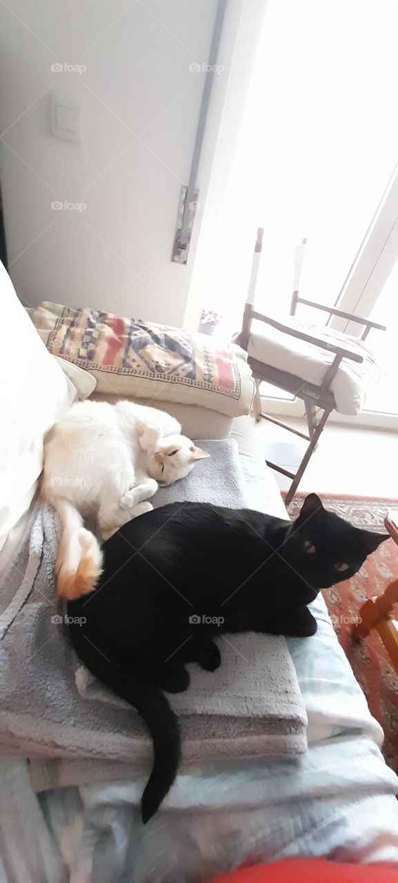 the sofa it belongs to then