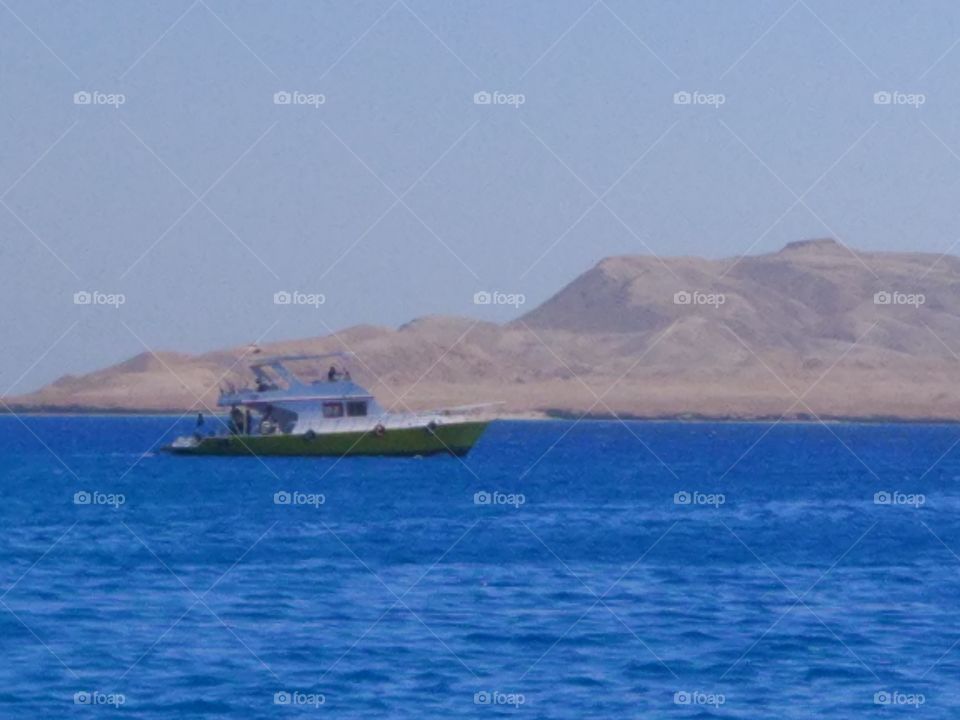 Diving on the Red sea.