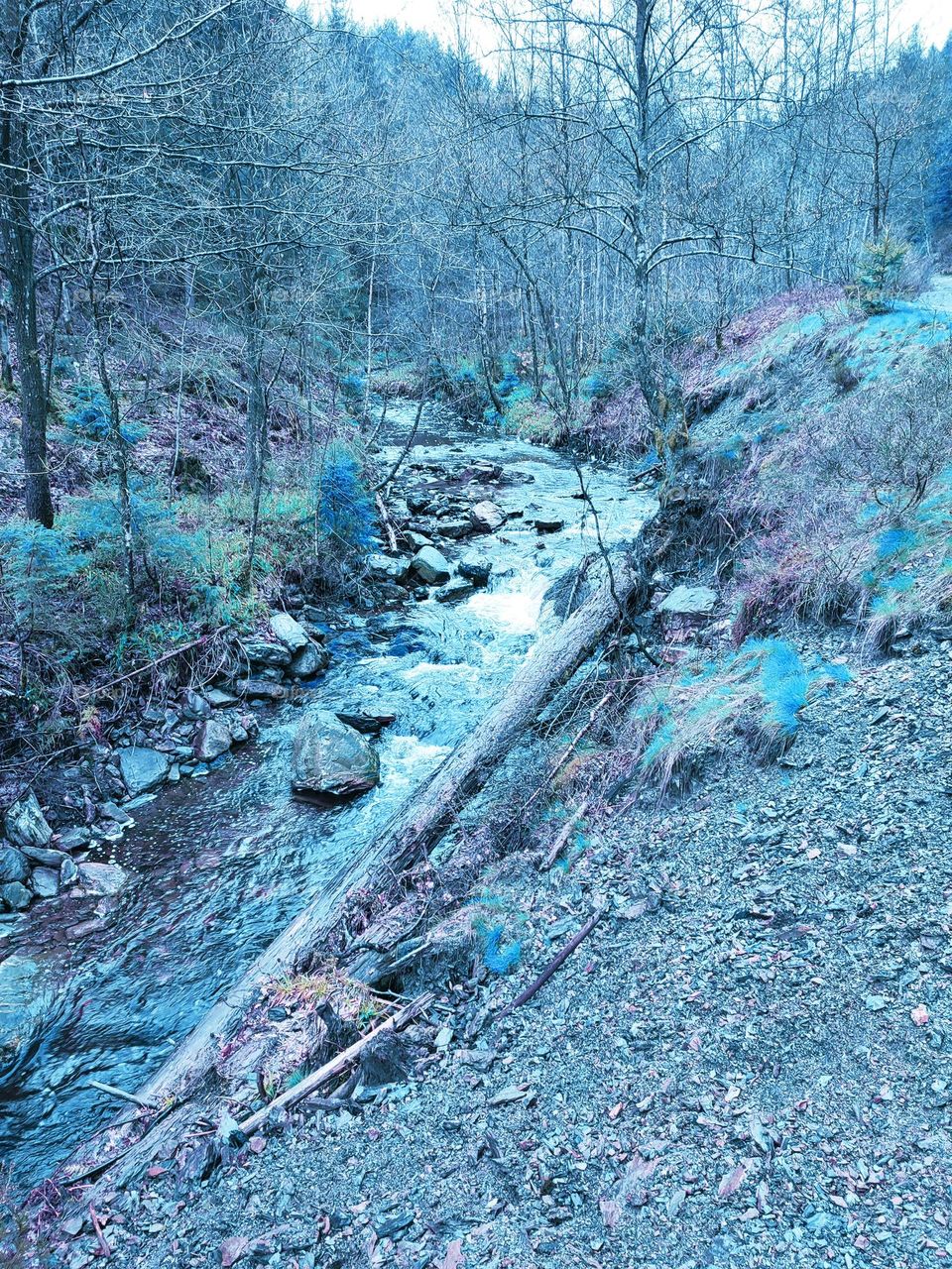 Walk in the woods, Bayehon waterfall