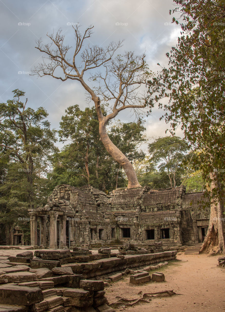 Ta Phrom