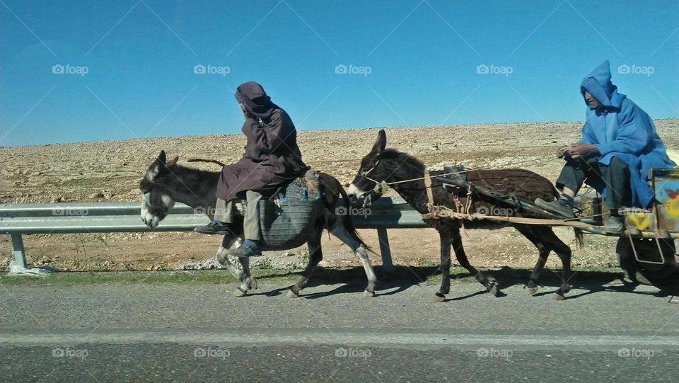 Villagers riding over the backs of donkeys back from the market