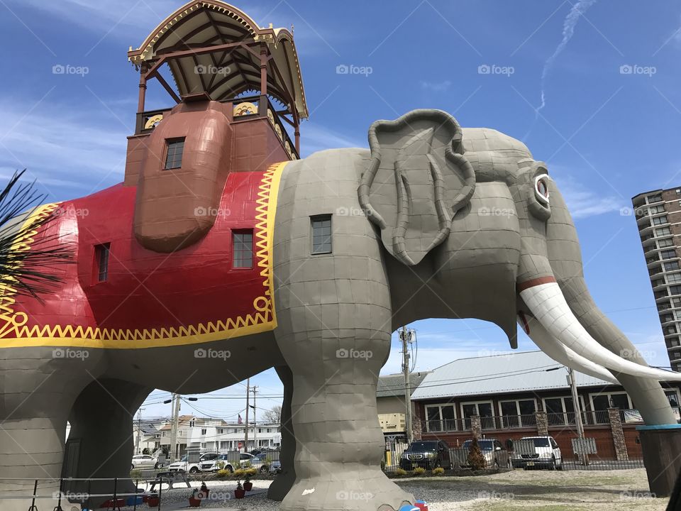Lucy the Elephant building