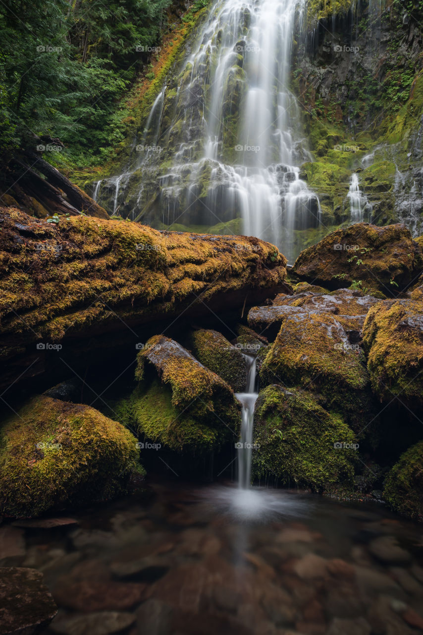 Lush scenery of Oregon’s Willamette National Forest