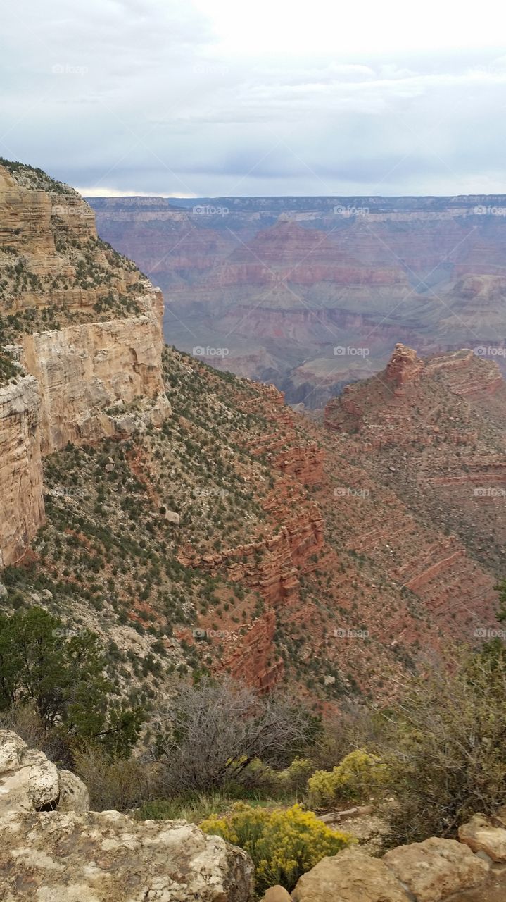 Stunning view- Grand Canyon, Arizona,  USA