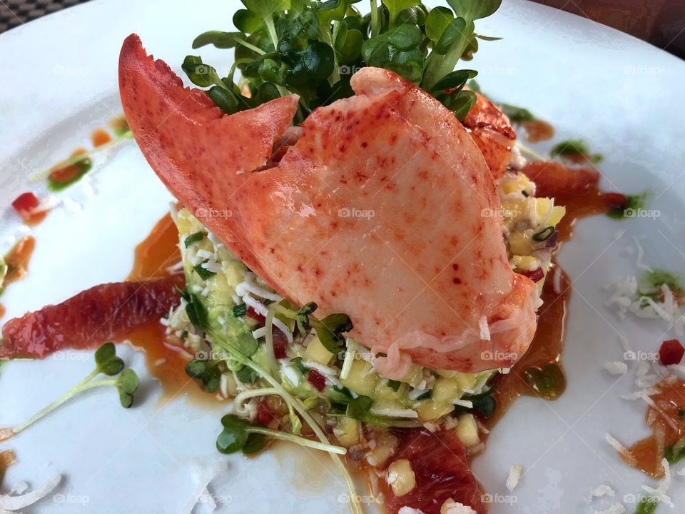 Lobster Salad