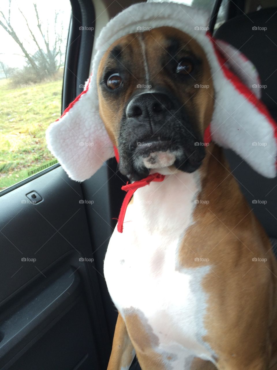 Funny Bella with her Hat! 