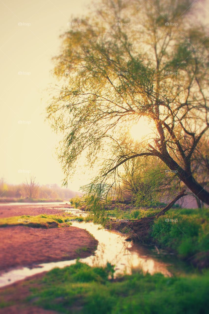 Dreamy by the river