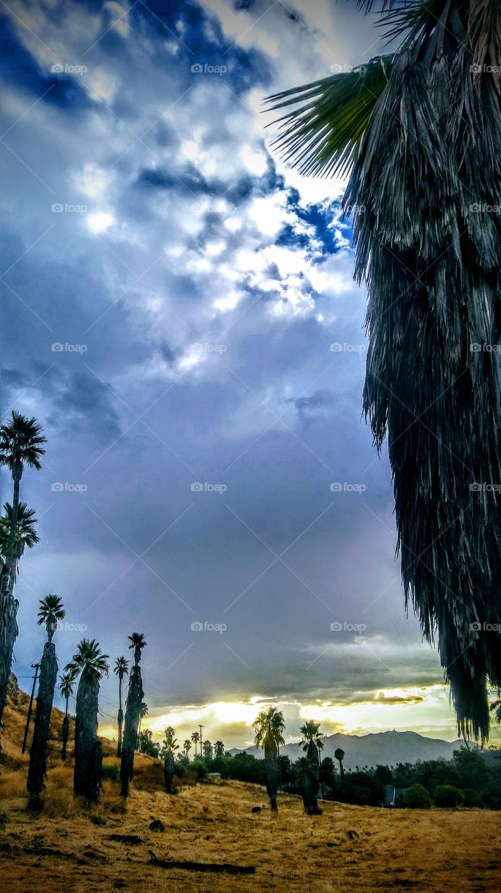 Sunrise in Riverside