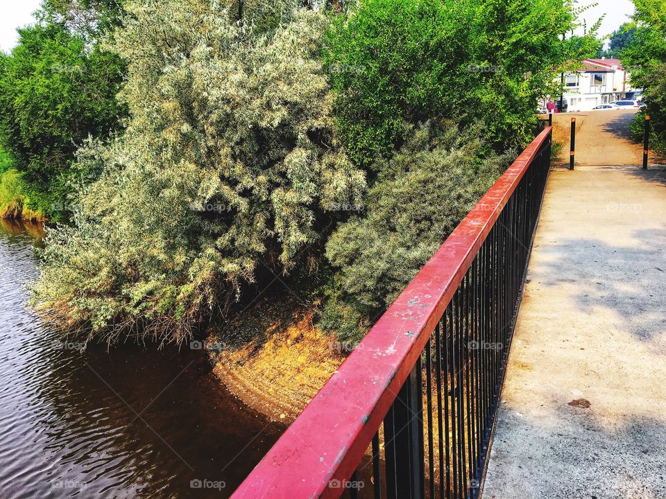 Beautiful summer day 