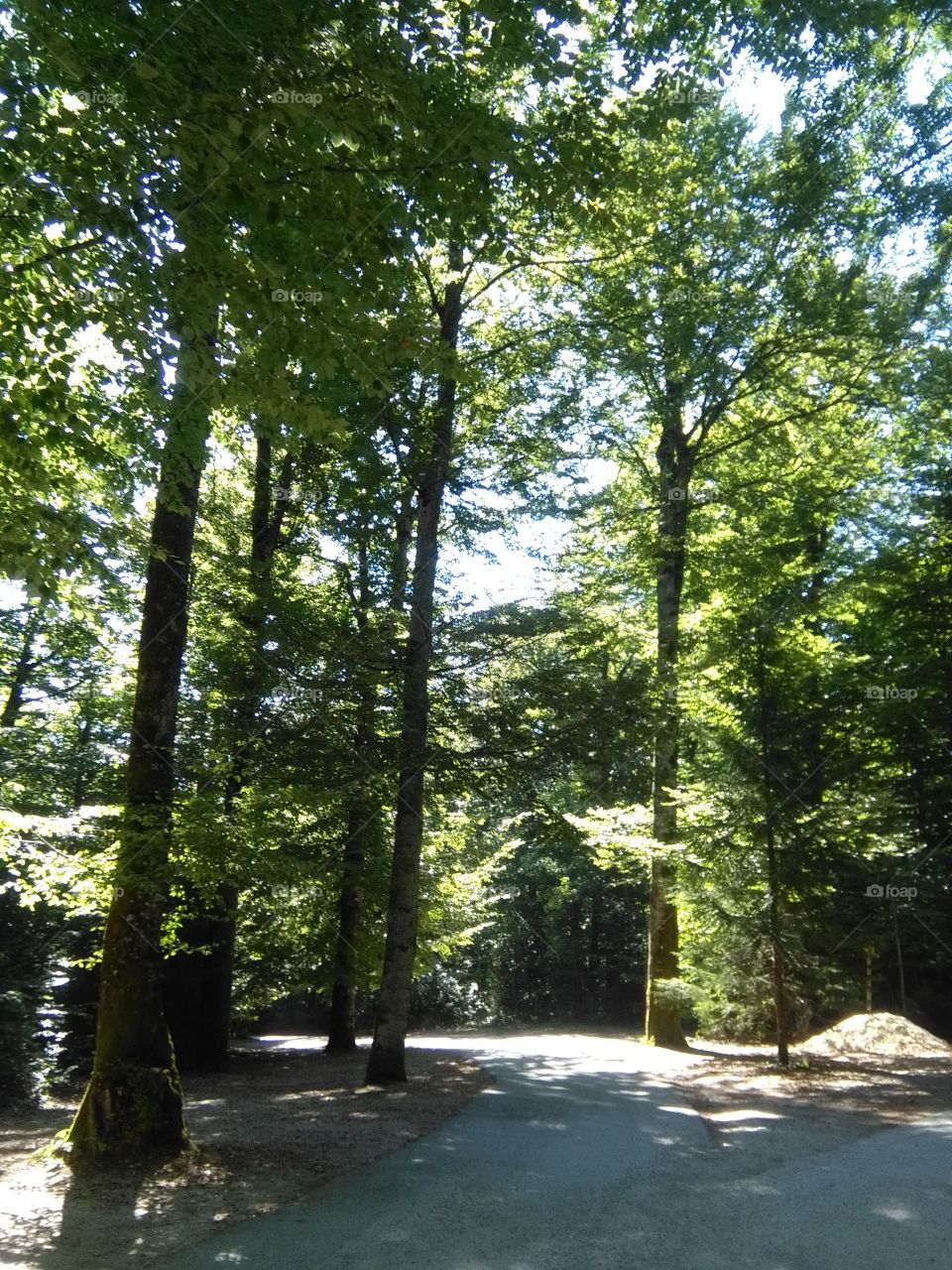 Endless summer Croatia