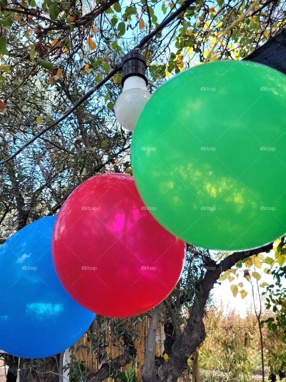 complementary colors