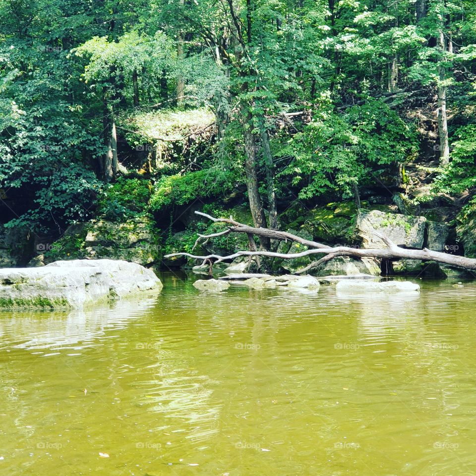 Anderson falls scenery from cave. 2018