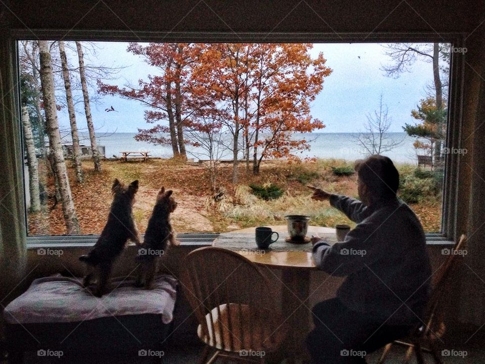 View from inside our rental home