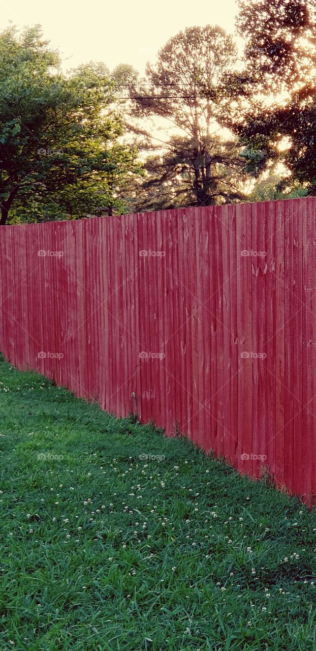 freshly painted red fence