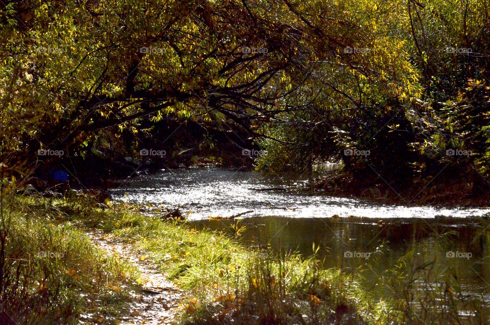 Fall Light On The Water