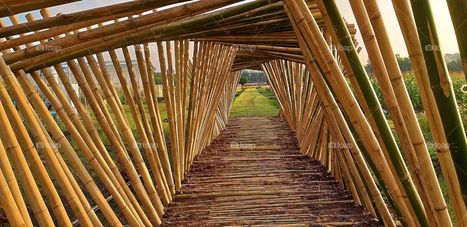 bamboo arch. bamboo wark in the meadow.