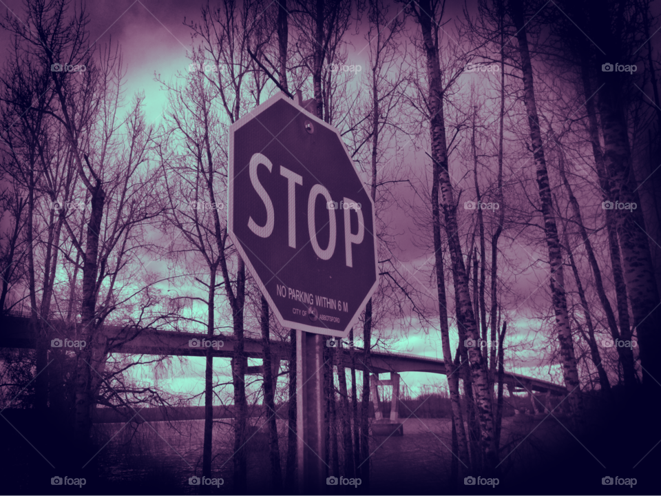 Stop Sign by the Fraser River 
