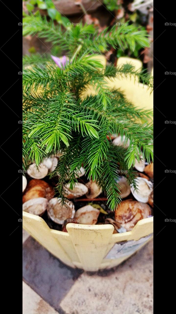 A happy mood never looks ugly so keep smiles on your face