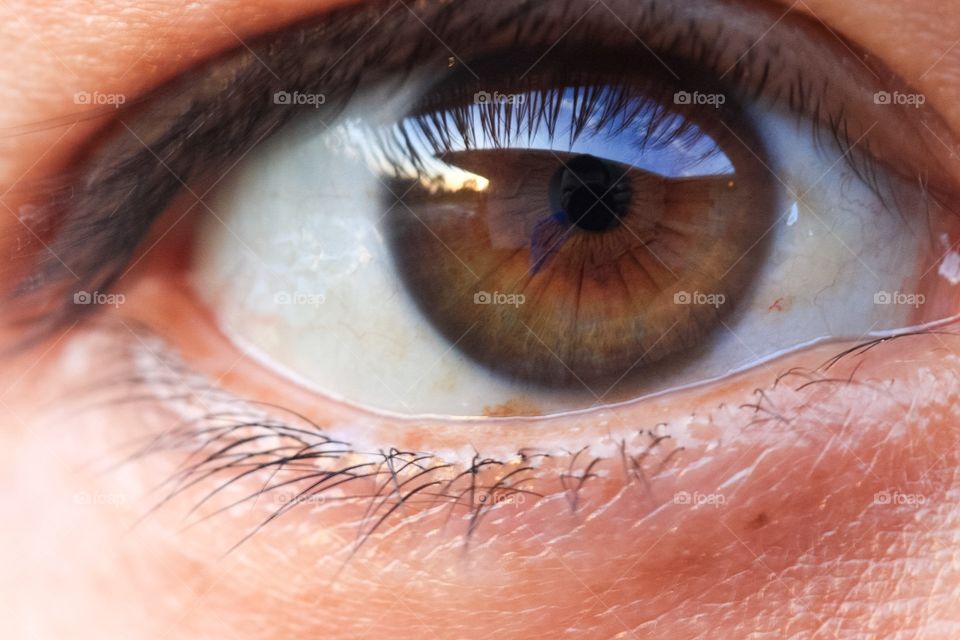 Eye macro