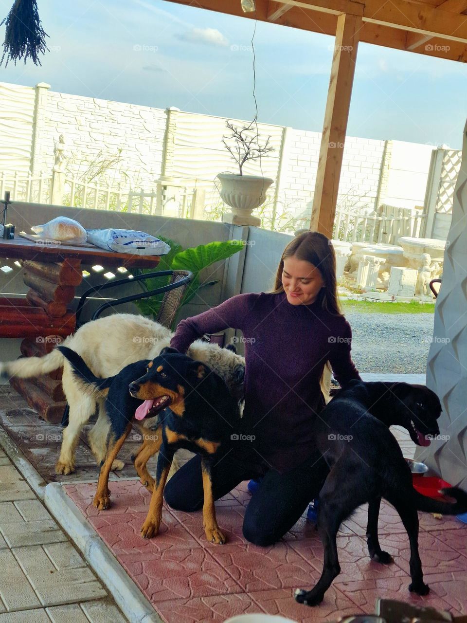 happy moment with the dogs