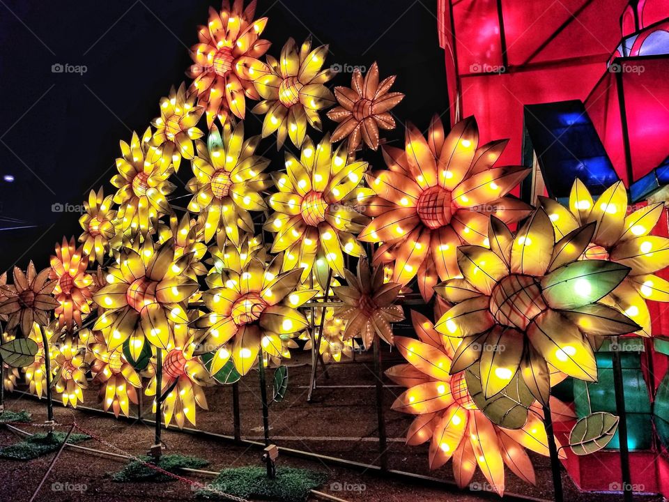 ILLUMINATION of Lights