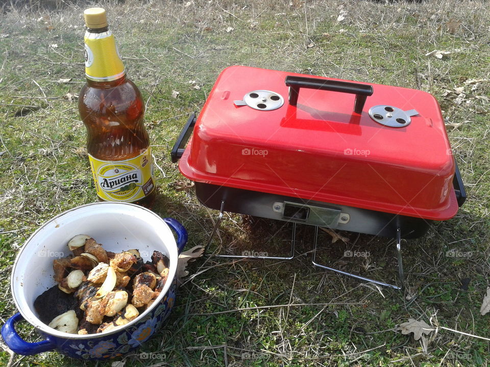 picnic in bg