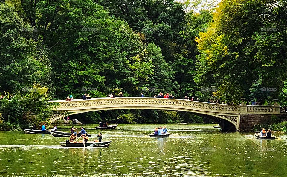 A summer day in Central Park! The iconic Bow Bridge in the background as boats fill the lake on a beautiful summer day!