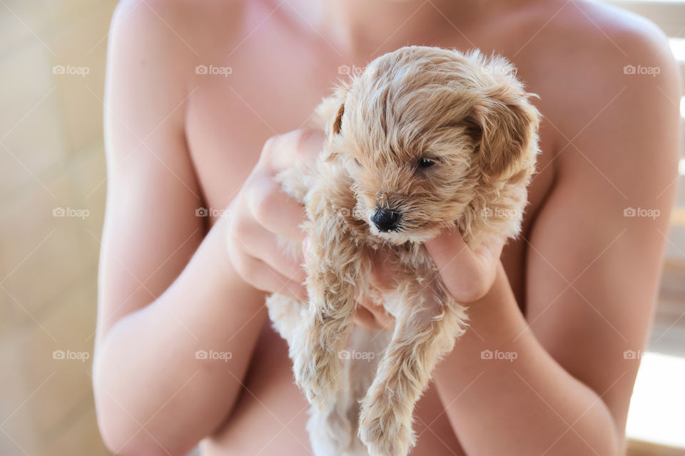 7 year old boy holds super tiny baby doggie puppy 