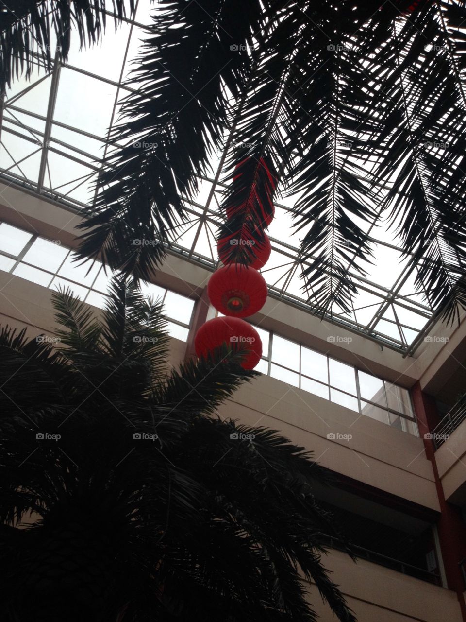 Traditional Chinese lamp hanged on ceiling between palms and trees
