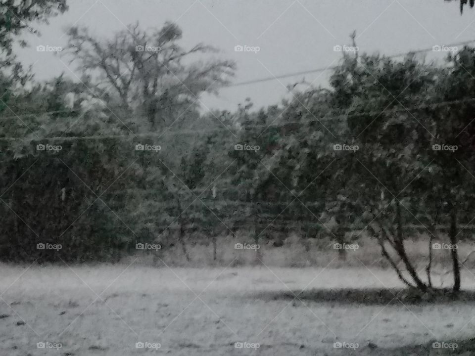 A very rare snow in South Texas