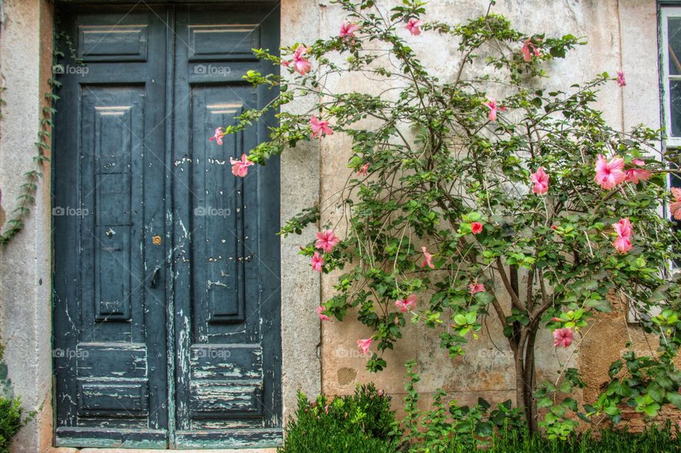 Lisbon door