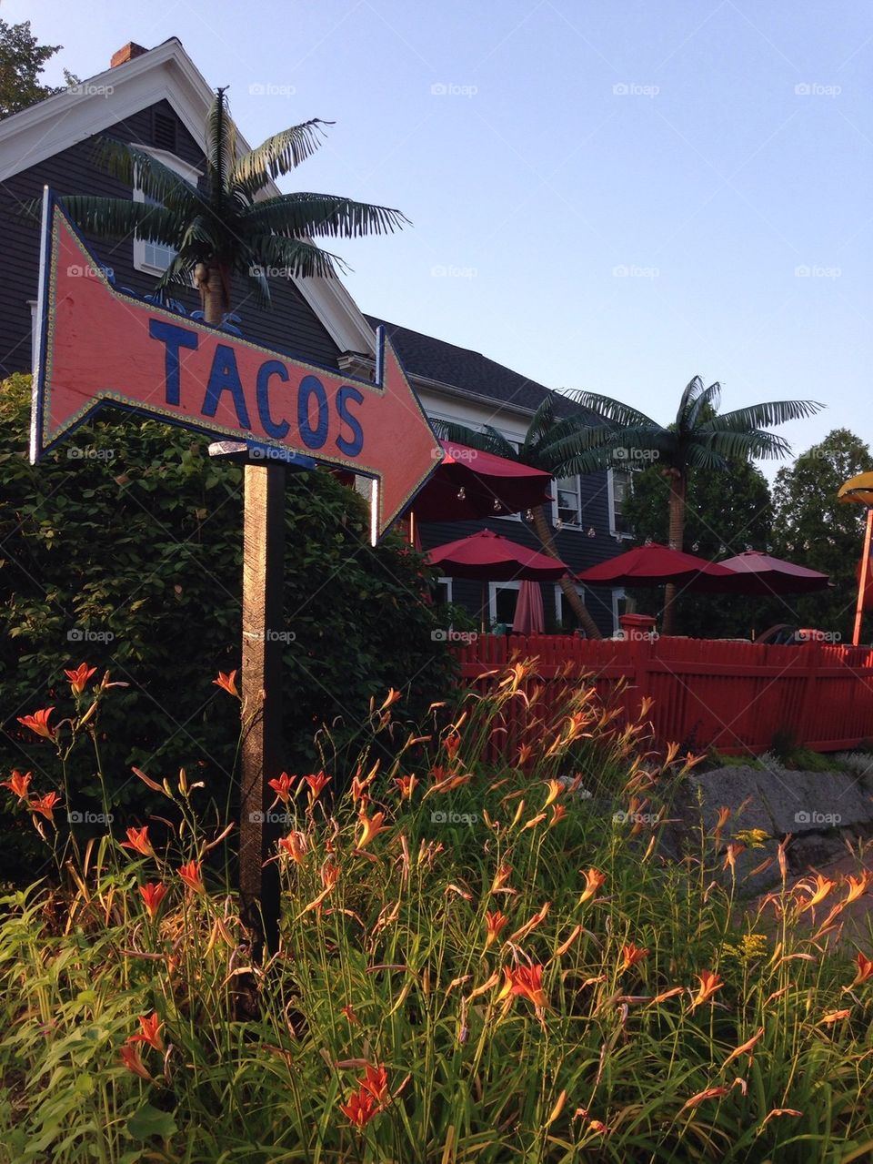 Tacos in Maine