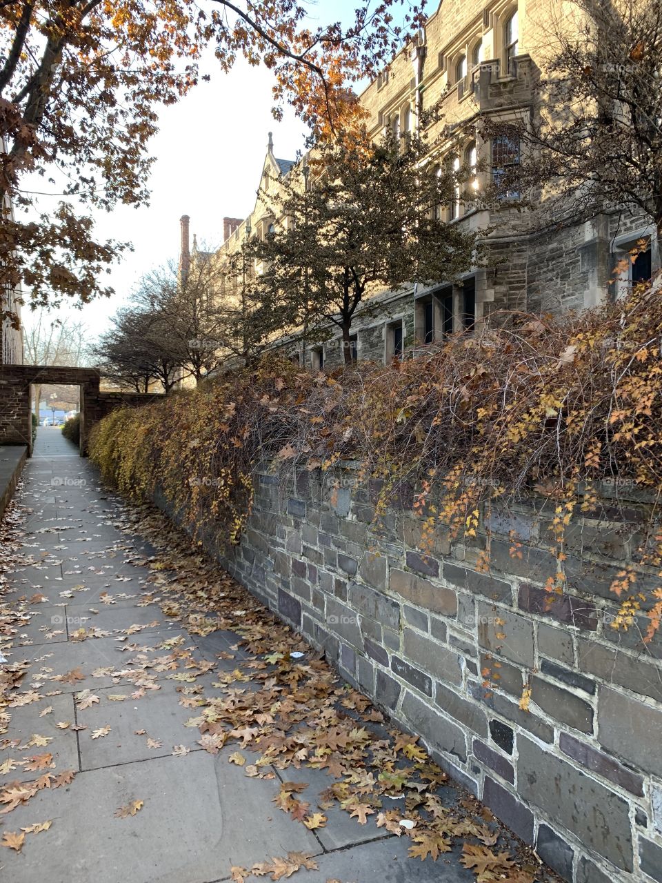 Princeton University campus