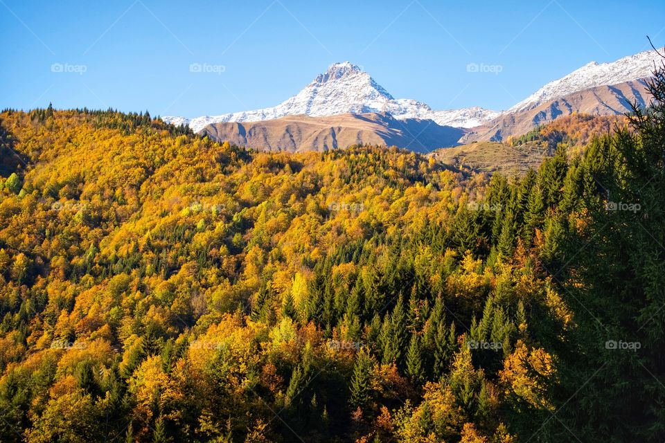 Colorful autumn scene of mountain scape along the way in Georgia 