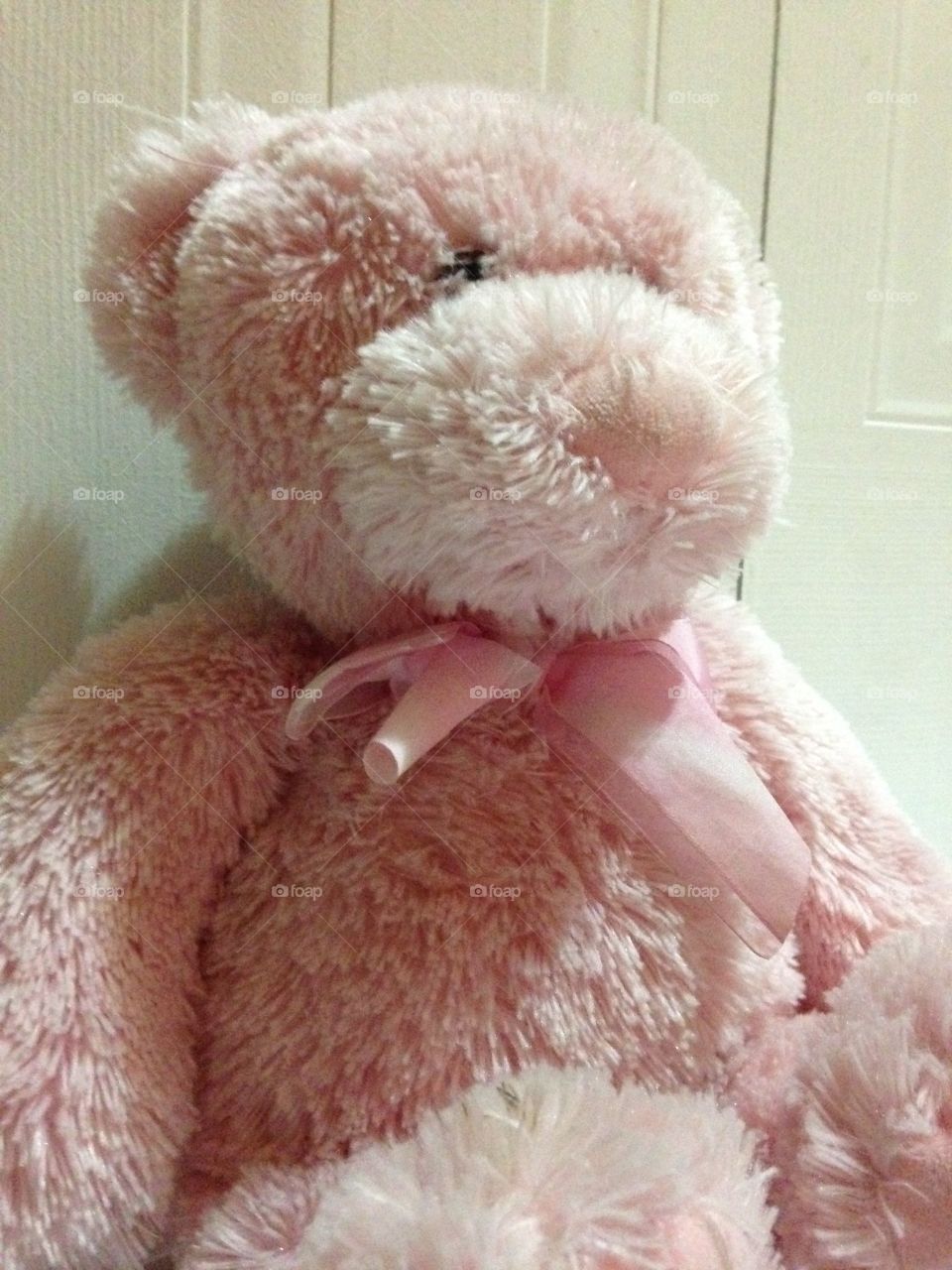 Pink bear