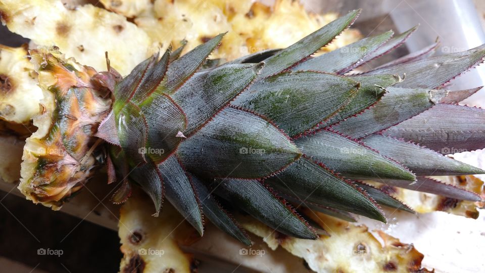 Broto, folhas de abacaxi e, e cascas.