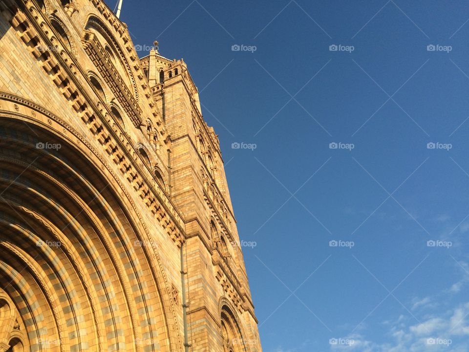 London's Natural History Museum