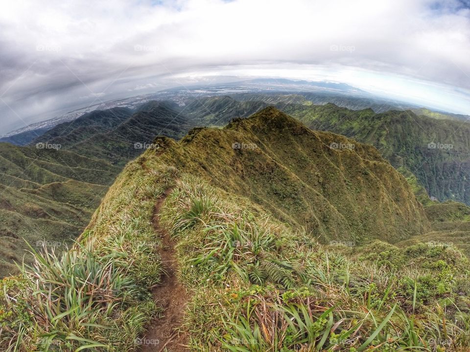 Hawaii hiking trail