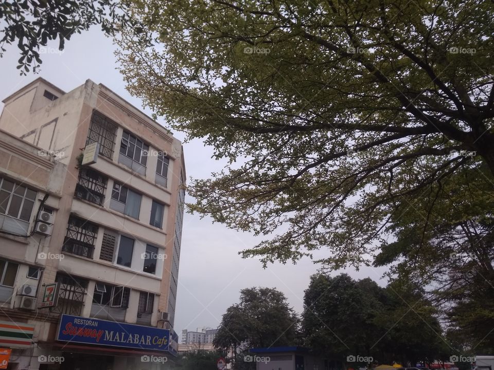 Why do most buildings have square or rectangular shaped windows?