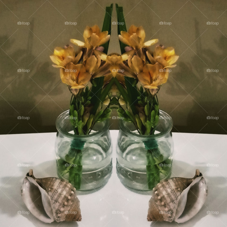 symetric flower vase and conch