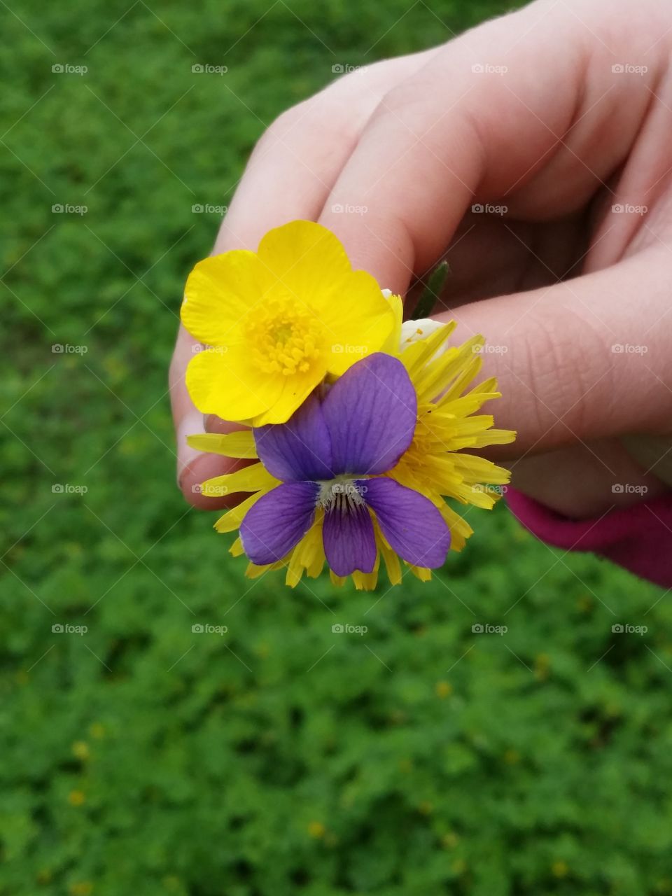 Picking Wildflowers 