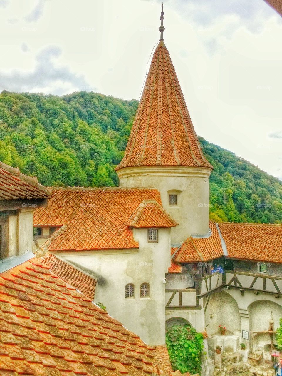 Bran, castle, courtyard, interior