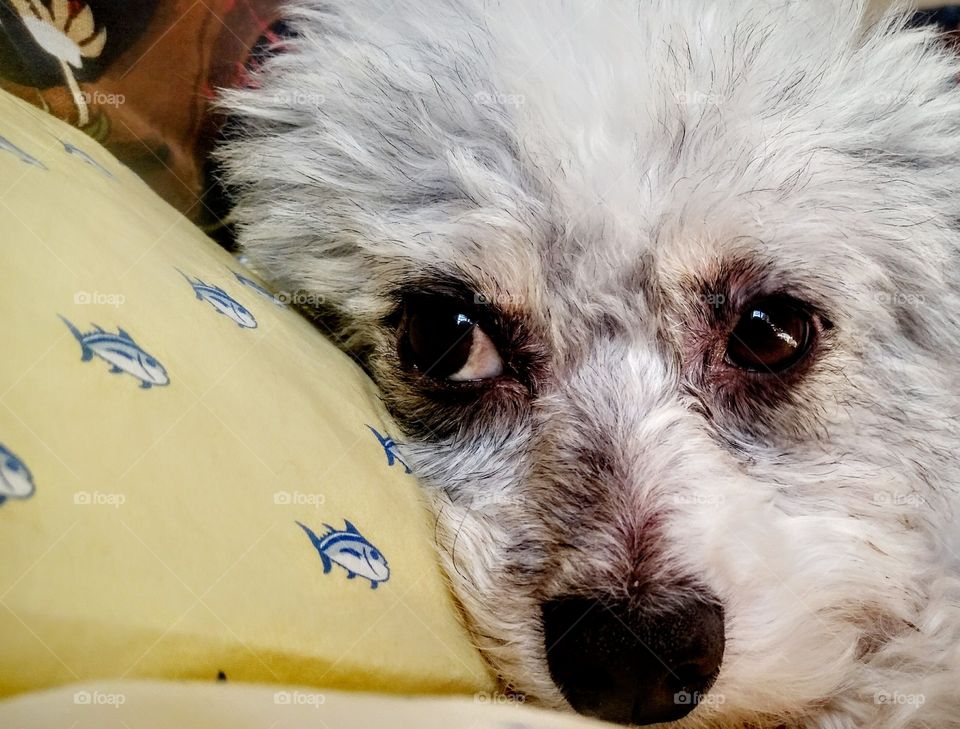 check back once Temps rise and I will be jolly, throw on my sweater vest, and go for a walkabout with you!