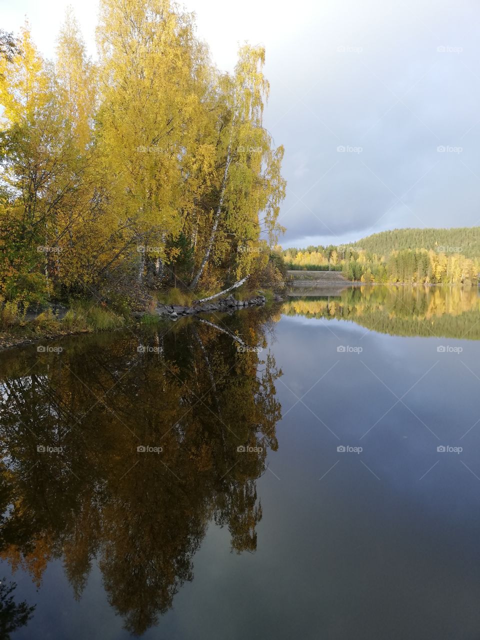 A beautiful multicoloured landscape under the dark grey and white clouds. The blue sky is seen a little and the sun makes reflections of the forest, the bent trees and the railway bridge on the calm lake.