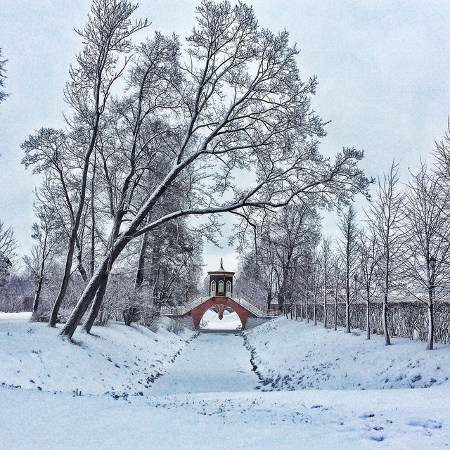 Winter 