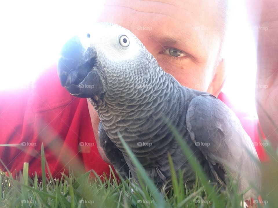 Parrot. Me and my parrot
